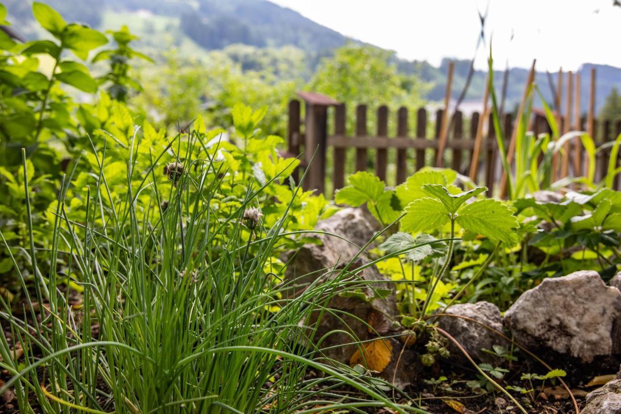 Alpenrelax Haus Weidmannsheil Wohnen Im Romantischen Forsthaus Werfen Ngoại thất bức ảnh